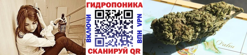Где купить наркоту Старая Русса Cocaine  Мефедрон  Гашиш 