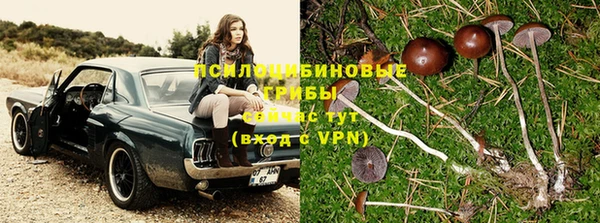 ПСИЛОЦИБИНОВЫЕ ГРИБЫ Карталы