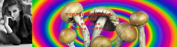 прущий лед Касимов
