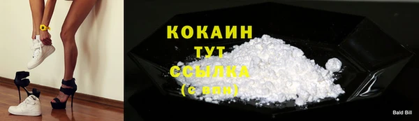 ПСИЛОЦИБИНОВЫЕ ГРИБЫ Карталы