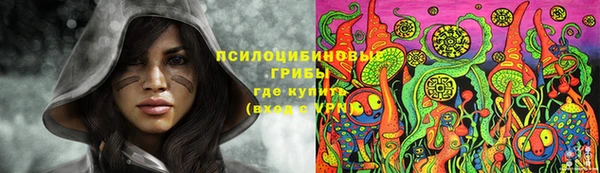 ПСИЛОЦИБИНОВЫЕ ГРИБЫ Карталы