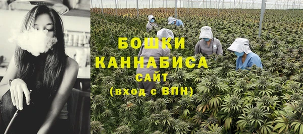 прущий лед Касимов