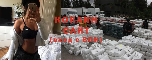 ПСИЛОЦИБИНОВЫЕ ГРИБЫ Карталы