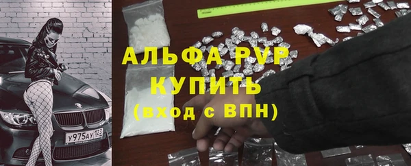 ПСИЛОЦИБИНОВЫЕ ГРИБЫ Карталы
