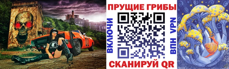 blacksprut сайт Старая Русса Галлюциногенные грибы мицелий